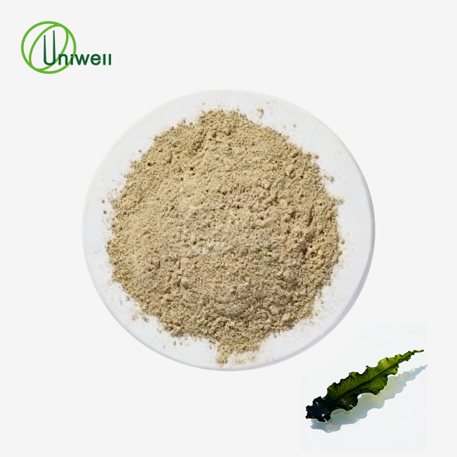Bladderwrack Extract powder